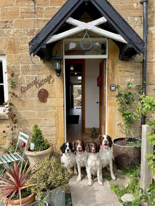 Spaniel Cottage With Views Of Ham Hill, Stoke Sub Hamdon Martock Exterior photo